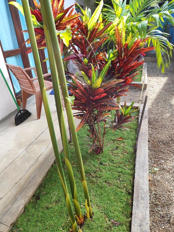 Tiger Villa Midigama East Exterior photo